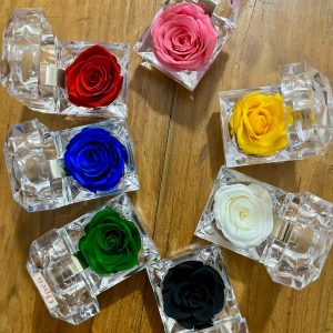Preserved Rose